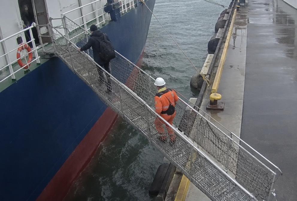 Representative camera view for Gangway Monitoring